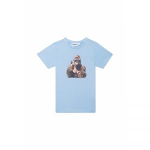 SB02.251.58184 light blue