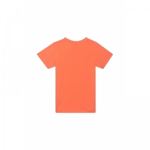 SB02.251.58066 bright orange