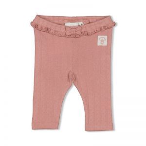 starfish wishes mauve