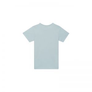 b02.252.92078 old light blue 