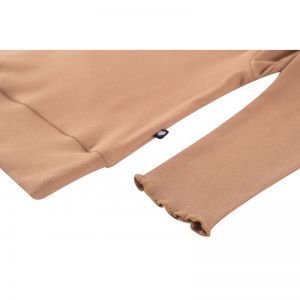 g03.252.50667 dark beige
