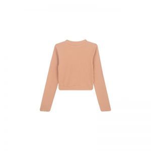 g03.252.50667 dark beige