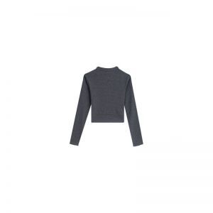 g03.252.50667 dark grey melan