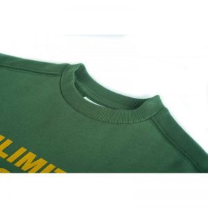 sb16.252.58377 medium green