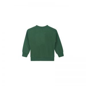 sb16.252.58377 medium green