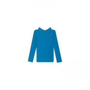 SG03.252.58532 old medium blue