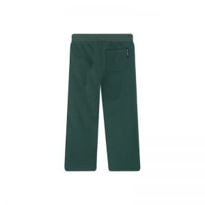 SB37.252.10660 broek green