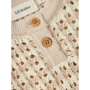 turtledove
