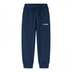 insignia blue
