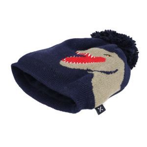 dino navy