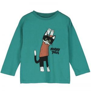 yogi cat green