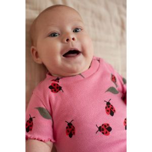  roze
