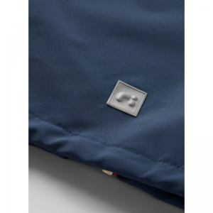 insignia blue