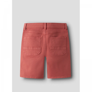  spiced coral