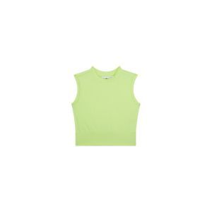 G01.261.500078 lime green