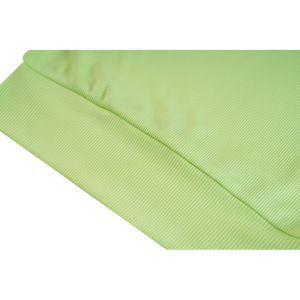 G01.261.500078 lime green