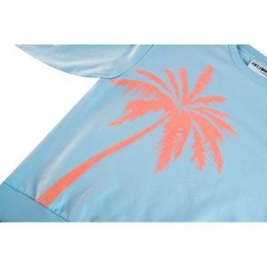 G16.261.500035 light blue