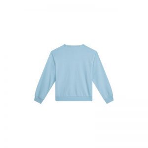 G16.261.500035 light blue