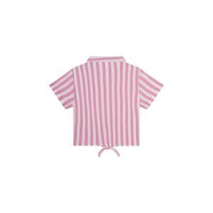 G21.261.300126 pink