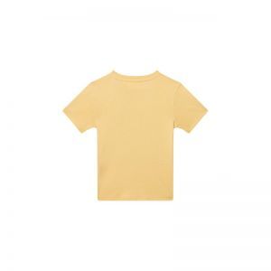 SB02.261.300077 yellow