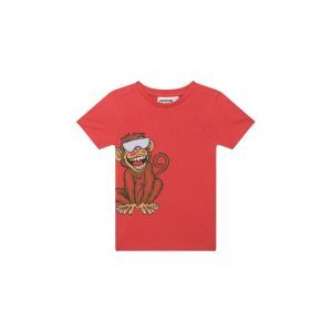 SB02.261.300101 dark orange