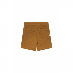 SB34.261.300156 cognac