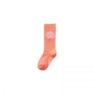 SG81.261.300150 coral