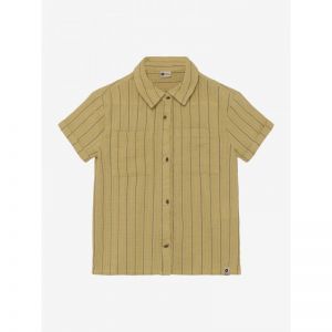 shirt small stripe pale olive gree