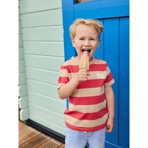 t-shirt big stripe chrysanthemum