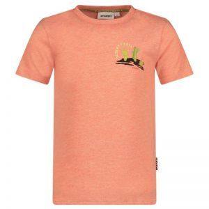 t-shirt - desert fiesta koraal melange