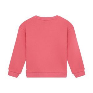 sweater christmas desert rose