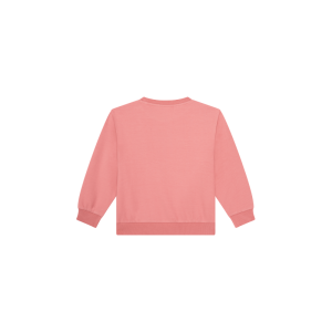 SG16.262.100258 old pink