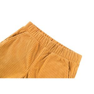 SB37.262.300173 light camel