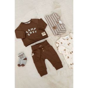 tiny timber tales bruin