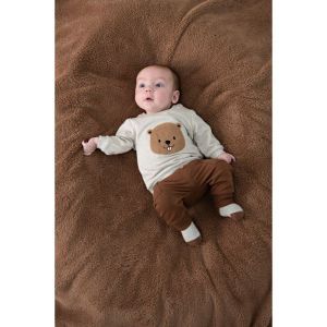 tiny timber tales bruin