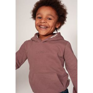 hoody-rock the earth mauve