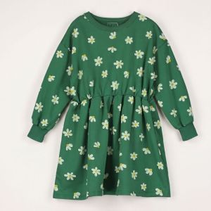 daisies all over green