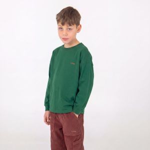 solid washe brown